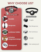 typecase Waterproof Airtag Cat Collar, Breakaway, Reflective Fish Pattern, Lightweight, Hidden Airtag Holder, GPS Tracker - Cats, Kittens (9-13")