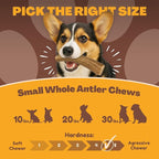 WhiteTail Naturals - Antlers for Small Dogs (6 Pack) Deer Antler Dog Chew Bones for Small Aggressive Chewers - Long Lasting Horn Chew Toys - Naturally Shed