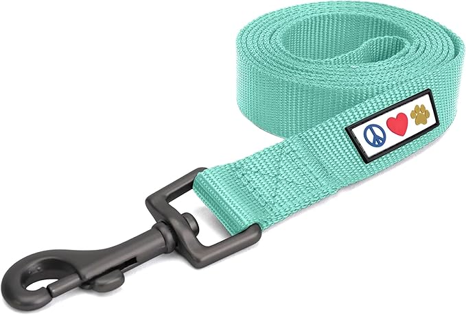 Pawtitas 6 FT Solid Color Comfortable Handle Dog Training Leash - Medium/Large, 6 ft Teal
