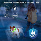 Super Bright LED Dog Collar - Fully Waterproof & Adjustable Glow Collar - USB-C Rechargeable for Night Walking, Safety - Flashing Lighted Collar for Dogs(Green,L)