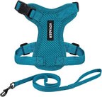 Voyager Step-in Lock Adjustable Cat Harness w. Cat Leash Combo Set with Neoprene Handle 5ft - Supports Small, Medium and Large Breed Cats by Best Pet Supplies - Turquoise, XS