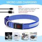 YFbrite Light up Dog Collar, USB Rechargeable LED Puppy Collar Super Bright Adjustable Glowing Dog Lights for Night Walking (Design-2- Blue, Small)