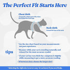 rabbitgoo Cat Harness and Leash Set for Walking Escape Proof, Adjustable Soft Kittens Vest with Reflective Strip for Cats, Comfortable Outdoor Vest,Blue,L