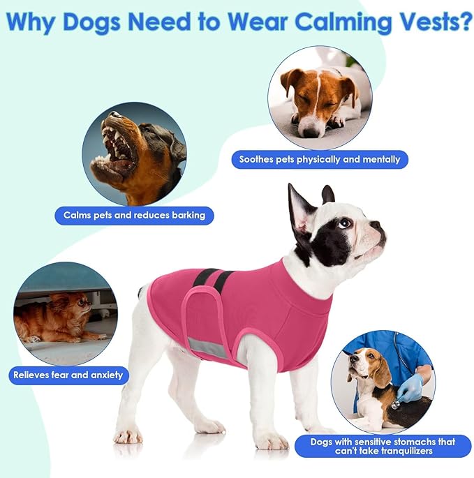 MIGOHI Dog Anxiety Relief Coat,Comfort Anxiety Vest for Dogs,Adjustable Anxiety Calming Wrap for Fireworks,Thunderstorms,Travel, Separation, Dog Anxiety Jacket for Small Dogs,XS,Rosered