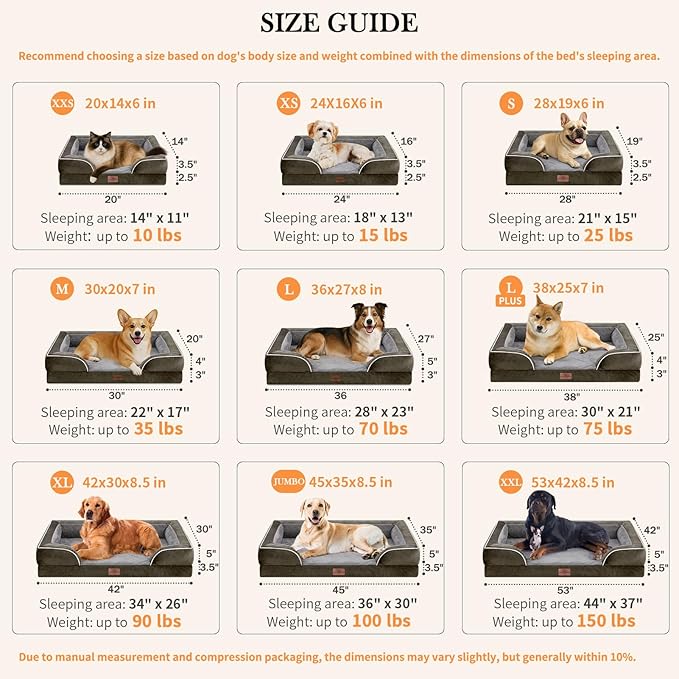Comfort Expression Orthopedic Dog Bed for Small Dogs 24x16 Inch, Waterproof Supportive Egg Crate Foam Small Pet Bed with Removable Bolsters, Dog Couch with Washable Cover & Non-Slip Bottom, Dark Green