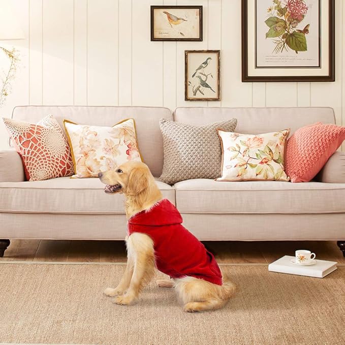 EXPAWLORER Dog Hoodie Fleece Sweater Vest, Hooded Dog Sweatshirt Fall Winter Pet Clothes with Leash Ring, Sleeveless Warm Cozy Puppy Clothing for Cat Small Medium Large Dogs Girl Boy, Red M