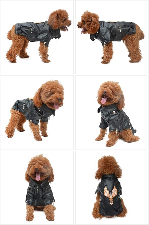 Lovelonglong Cool Dog Leather Jacket, Warm Coats Dogs Windproof Cold Weather Coats for Large Medium Small Dogs with Eagle Embroidery Black XXL