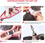 Cat Harness and Leash Set, Soft and Breathable Vest with Reflective Strip, Escape Proof Kitten Harness, Easy to Wear for Cats Walking and Traveling (Black, M)