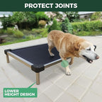 FXW TitanNest Chew-Proof Elevated Dog Bed, Raised Cot for Indoor/Outdoor/Camping Use, Durable & Waterproof Cooling Pet Bed for Large Dogs, 47.0" L x 29.0" W x 7.3" H, Black