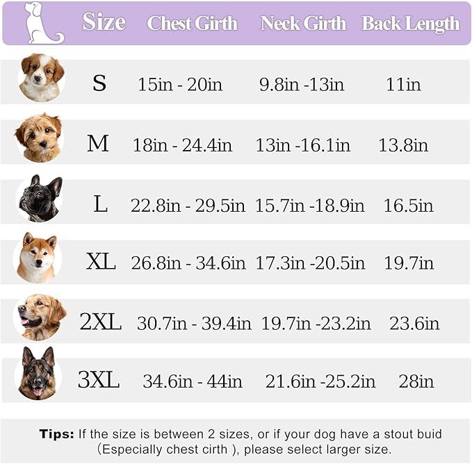 PETDSH Dog Coat Small, Windproof Dog Jacket with Warm Fleece Lining, Thickened Collar Dogs Winter Coat, Adjustable Reflective Pet Coats for Cold Weather (Purple, Small)