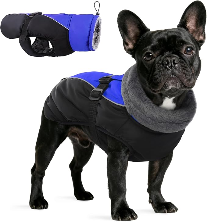 IDOMIK Dog Winter Coat, Reflective Waterproof Dog Jacket for Cold Weather, Warm Pet Coats for Small Medium Large Dogs, High Collar Doggy Fleece Snow Jacket, Winter Vest with Adjustable Buckle,M