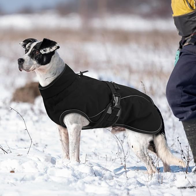 Warm Dog Coat for Winter,Waterproof Jacket with Zipper,Detachable Dog Coat with Adjustable Buckle,Comfortable Jacket for Dogs in Cold and Windy Days.2XL Black