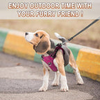 Dog Harness Step in Dog Vest Harness, Reflective Adjustable Puppy No Pull Harness Breathable Soft for Small and Medium Dogs Cats, Pink/Black, S