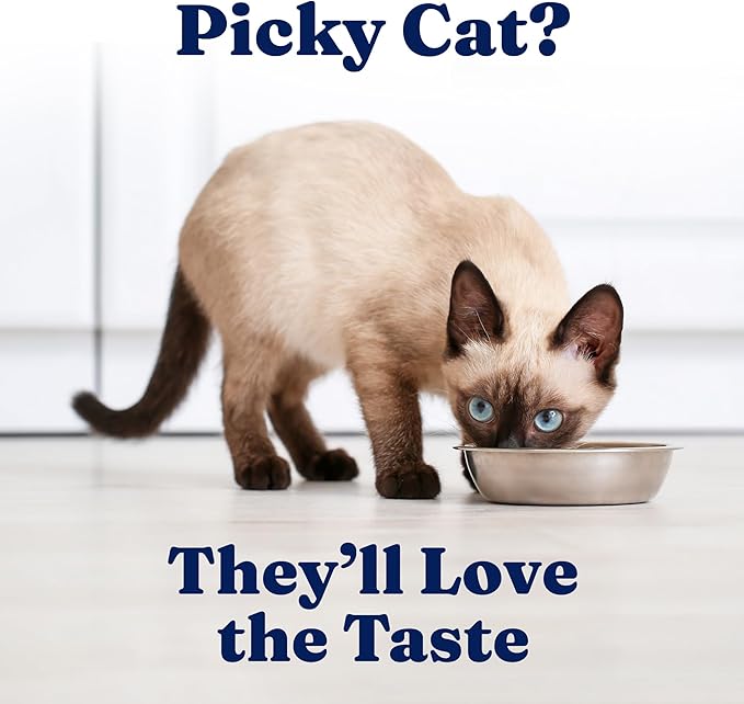 Solid Gold Wet Cat Food Shreds in Gravy - Healthy Canned Cat Food Made w/Real Tuna, Shrimp, Vitamins, Minerals & Taurine - Grain Free & Gluten Free Canned Meals for Cats & Kittens - 24ct/3oz Can