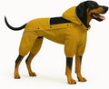 LOVELONGLONG Waterproof Dog Raincoat with Removable Hood – Outdoor Full Body Dog Jacket, Windproof Snowproof Shell Suit – All Season Pet Rain Gear Mustard Yellow 3XL