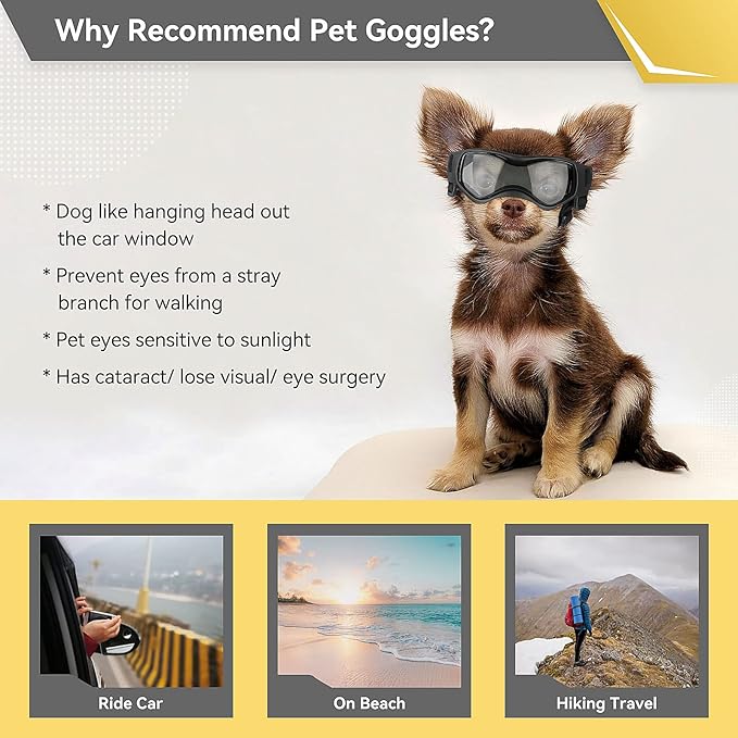 Namsan Dog Goggles Small Breeds, UV Protection Dog Glasses for Small Dogs, Puppy Sunglases Windproof Dustproof Driving Eye Protection, Adjustable, Cool Black