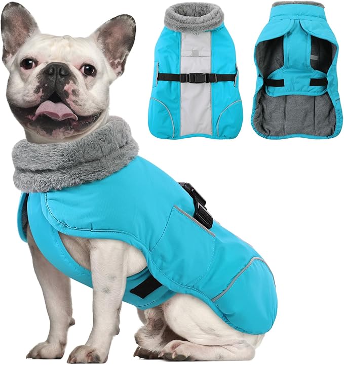 Queenmore Winter Dog Jackets, Dog Coats for Small Puppy, Warm Reflective Winter Dogs Coat, Waterproof Fall Pet Coats, Blue, S