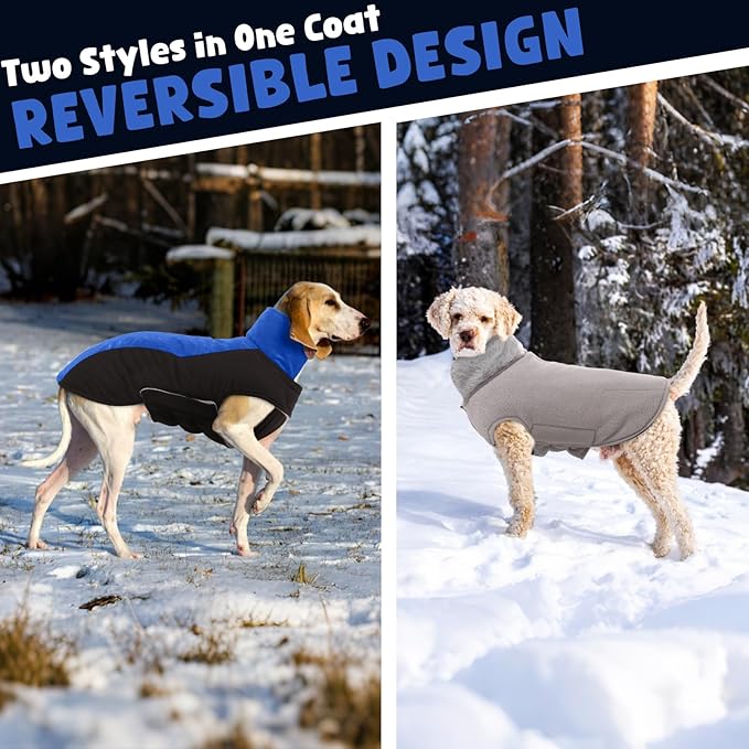 Warm Dog Coat,Waterproof Jacket in Winter Adjustable and Reversible Doggy Fleece Outfit,Thick Clothes with Foldable Collar for Puppy in Cold Days,M RoyalBlue
