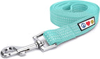 Pawtitas 6 FT Dog Leash - Reflective, Comfortable Handle, Heavy Duty Training Leash, Small Dog, Teal