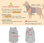 BEAUTYZOO Dog Fleece Vest Sweater Winter Jacket for Small and Medium Dogs with D-Ring Leash Cold Weather Coat Hoodie for XS S M Dogs Boy or Girls