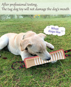 Clysoru Dog Tug Toy Dog Tough Jute Bite Pillow Lasting Training Equipment Puppy to Large Dogs Interactive Toy for Large Dogs and Small Dogs
