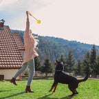 2 Pack Dog Ball, K9 Ball on Rope for Reward, Fetch, Play (6cm)