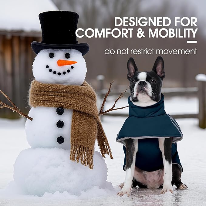 FUAMEY Dog Cold Weather Coats,Dog Winter Jackets for Small Dogs Warm Dogs Coat with Reflective Strips Waterproof Pet Snowsuit Thick Paded Pets Vest for Yorkshire Chihuahua Blue S