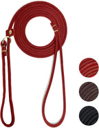 Guiding Star Leather Slip Lead Dog Leash for Small Dogs & Puppies 6 Ft x 1/4 Inch,Luxurious and Lightweight Leather Training Dog Leash for Walking with Soft Handle (Red)
