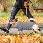 Dog Sweater Brushed Fleece Baseball Jacket Soft Warm Pet Sweatshirt Dog Sweaters for Small Dogs Puppy Sweater Boy Girl Pet(Gray-XS)