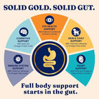 Solid Gold High Protein Dry Cat Food - Grain Free & Gluten Free Chicken Cat Dry Food w/Probiotics for Gut Health & Digestion - High Fiber & Omega 3 - Low Carb Superfood Kibble for Cats All Ages -12LB
