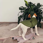 Queenmore XL Dog Sweaters, Soft Fleece Vest Pullover Dog Jacket with Leash Hole, Warm Winter Dogs Clothes Cold Weather Doggy Dachshund Sweater for Large Dogs Cats Boy or Girl (Army Green, XL)