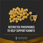 Pro Plan Veterinary Diets Purina NF Kidney Function Canine Dog Food Dry Formula - 6 lb. Bag