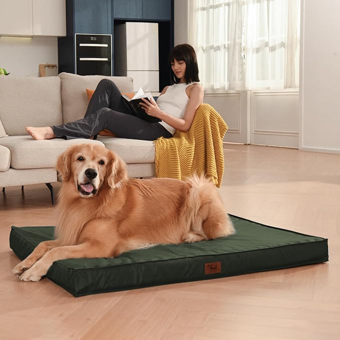 Outdoor All Weather Dog Bed, Waterproof Dog Bed for Medium Dogs 30x20 Inch, Orthopedic Egg Crate Foam Pet Bed with Removable Cooling Cover, Dark Green