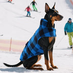 ASENKU Dog Winter Coat, Fleece Doggie Jacket Plaid Reversible Vest Waterproof Windproof Cold Weather Clothes for Small Medium Large Dogs (M, Blue)