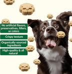 Dig Defence Premium Dog Treats - Carrot and Peanut Butter, Natural Ingredients, Baked Gourmet Snacks for Small & Big Dogs, Healthy Training Treat, 2 Pack