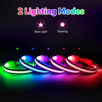 Flashseen LED Cat Collar,Light Up Dog Collar Rechargeable, Dog Lights for Night Walking, Comfortable Soft Mesh Pet Collar Adjustable for Cats Puppy and Small Dogs(Pink, XS)
