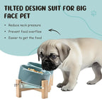 SPUNKYJUNKY 15° Slanted Ceramic Dog and Cat Bowl with Wooden Stand, Tilted Bulldog Food and Water Bowl No Slip Non-Spill for Cats Medium Dogs Big Face Pets 28.7 OZ (3.6 Cups, Light Green × 2)