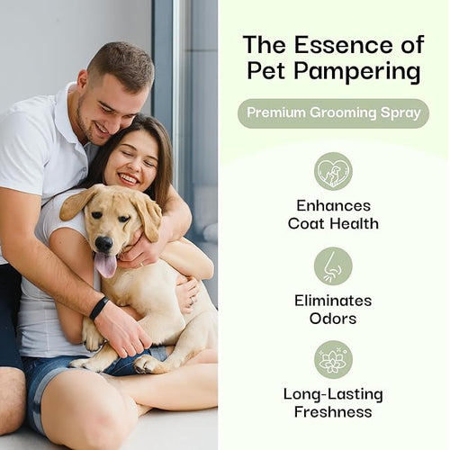 605Products | Premium Dog Cologne and Odor Eliminator - Long Lasting Dog Perfume Made with Essential Oils - Spray Deodorant for Smelly Dogs, Dog Grooming Spray 3pack (Show Dog, 2oz Spray Bottles)