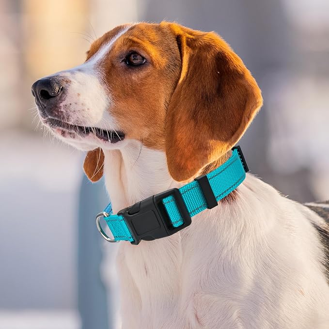 Personalized Embroidered Dog Collar - Custom Hand-Stitched Name & Number, Reflective Adjustable Pet Collar for Small/Medium/Large Dogs & Cats, Durable Nylon with Steel D-Ring (Teal, Medium)