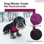 Lelepet Dachshund Coat Warm Dog Winter Coat Waterproof Dog Jacket with Fleece Lining, Reflective Outdoor Dachshund Snowsuit with Leash Hole Adjustable Neckline,Coats for Small Medium Dogs,Purple, S