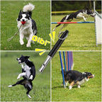 Professional Dog Whistle to Stop Barking - Adjustable Silent Training Whistle for All Breeds (Labrador, German Shepherd, Beagle) with Lanyard - 2 Packs for Recall, Obedience & Anti-Barking Training