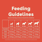 Pupford Good Dog Food, Freeze-Dried Raw, High-Protein, Superfood Ingredients, Vet-Approved, No Fillers or Artificial Additives (Beef Recipe, 16 oz)