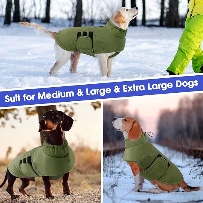 ASENKU Extra Warm Dog Coat - Winter Jacket with Fleece, Reflective Adjustable for Medium Dogs, Dachshund Clothes (Green, M)