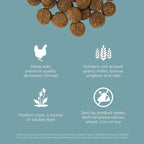 Go! Solutions Digestion + Gut Health, Dry Dog Food, Chicken Recipe with Ancient Grains, 3.5 lb Bag