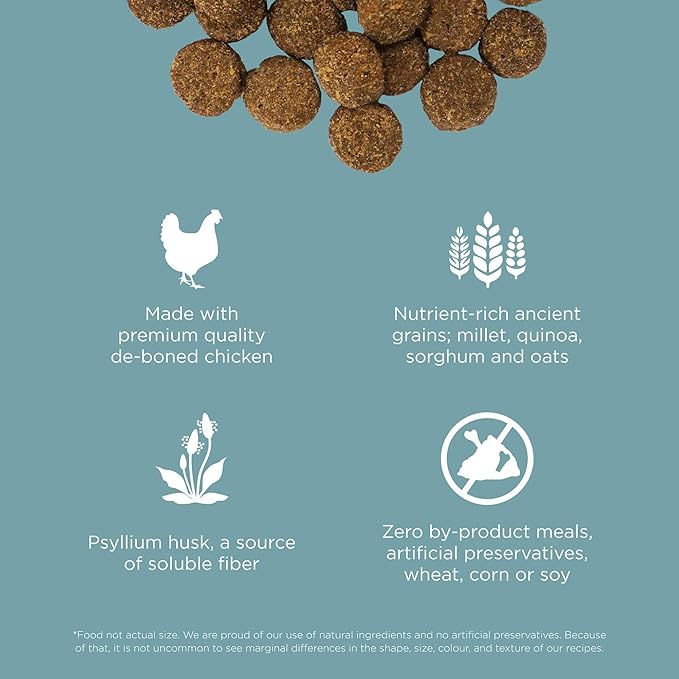 Go! Solutions Digestion + Gut Health, Dry Dog Food, Chicken Recipe with Ancient Grains, 3.5 lb Bag