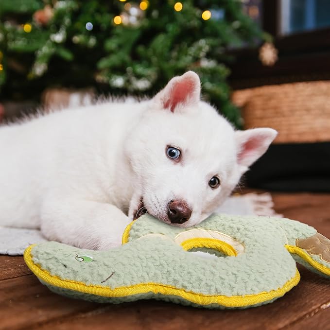Ring Snake Squeaky Dog Toy, New 2025 Indestructible Dog Toy for Tug of War, Stuffed Toy with Two Tough Layers, Interactive Tug Training to Keep Them Busy, Green