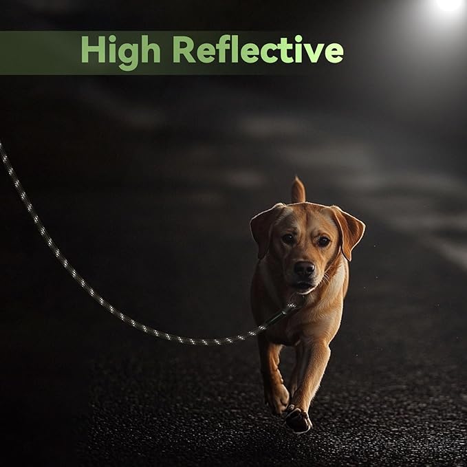 Nylon Dog Leash 6FT 10FT 20FT 30FT Diameter 2/5 Inch with Comfortable Silicone Handle Highly Reflective No Tangle for Medium Large Dogs Outside Walking Camping Backyard. (Green, 10FT)