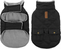 Queenmore Dog Winter Coat Warm Puffer Jacket Waterproof Plush Lining Thermal Cold Weather Vest for Small Medium Large Dogs, Windproof Easy On Pet Jacket Black XL