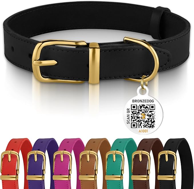 BRONZEDOG Leather Dog Collar with Metal Buckle Durable Basic Pet Collars for Small Medium Large Dogs (19-21 Inch (Pack of 1), Black & Gold Buckle)