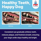 ProDenta, All-Natural Dog Dental Powder for Teeth Cleaning, Dental Powder for Dogs Teeth with Breath Freshener. Easy to use for Tartar Removal and Leaky Gums. Made in USA, 30 Servings